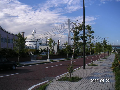 s_PICT0077s.png